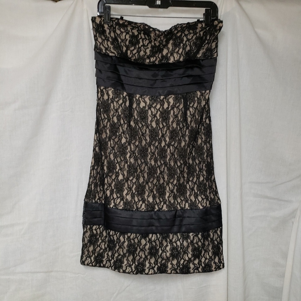 Strapless lace lined dress